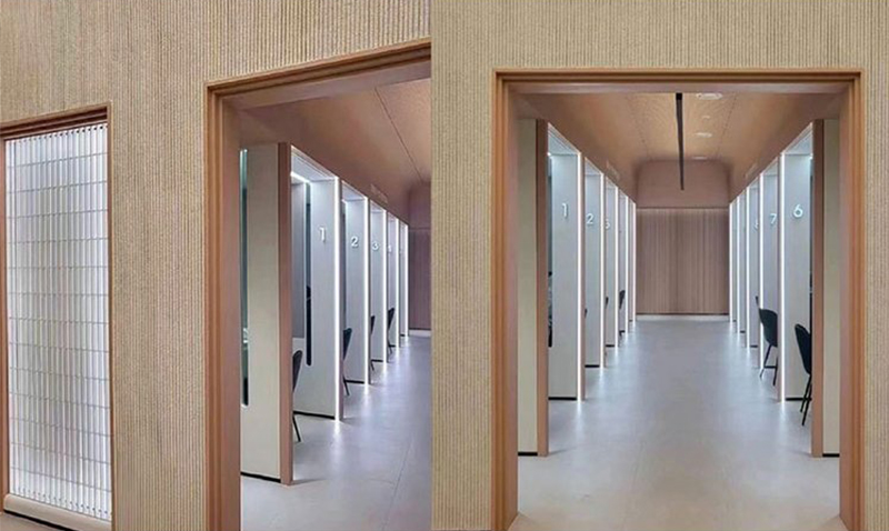 室内脉络石案例展示
